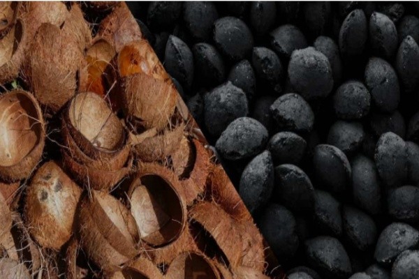 Línea de carbonización continua de cáscara de coco